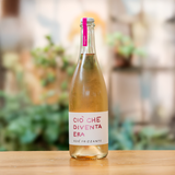 VINI ALAJMO | CIÒ CHE DIVENTA ERA - ROSÉ