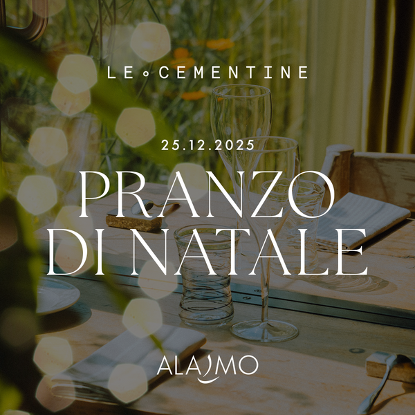 PRANZO DI NATALE | LE CEMENTINE